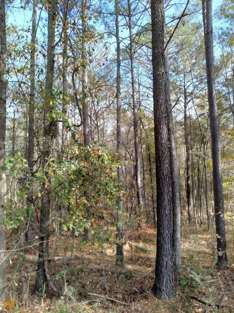 210 Holly Rd, Bowdon, GA 30108 photo 4