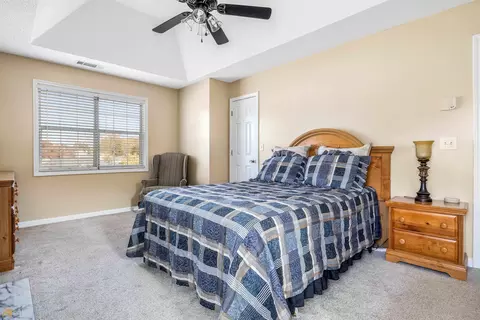 425 Old Ivy Path, Mcdonough, GA 30253 photo 15