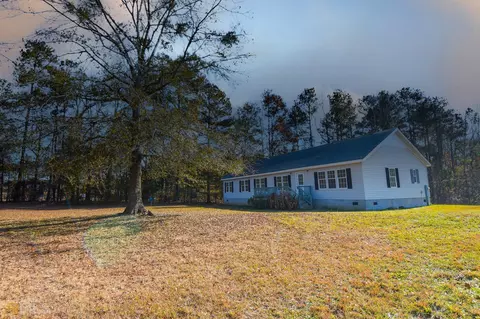 389 Trice Rd, Milner, GA 30257 photo 5