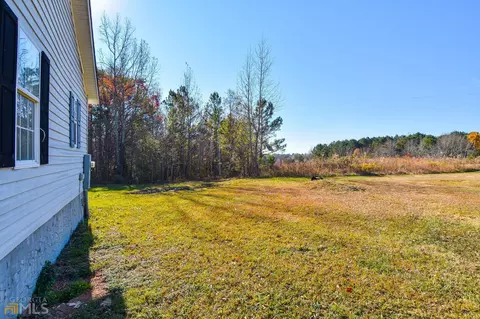 389 Trice Rd, Milner, GA 30257 photo 10