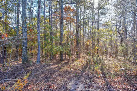 389 Trice Rd, Milner, GA 30257 photo 20