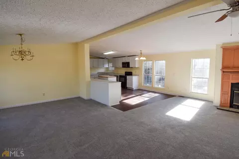 389 Trice Rd, Milner, GA 30257 photo 28