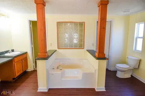 389 Trice Rd, Milner, GA 30257 photo 33