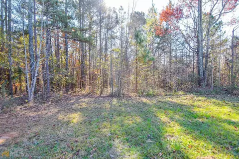 389 Trice Rd, Milner, GA 30257 photo 21