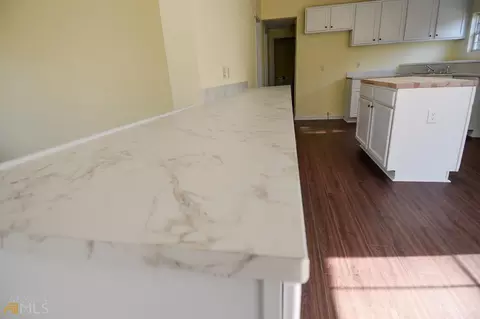 389 Trice Rd, Milner, GA 30257 photo 37