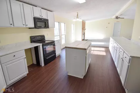 389 Trice Rd, Milner, GA 30257 photo 23