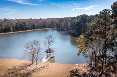 255 Red Maple Dr, Hampton, GA 30228 photo 62