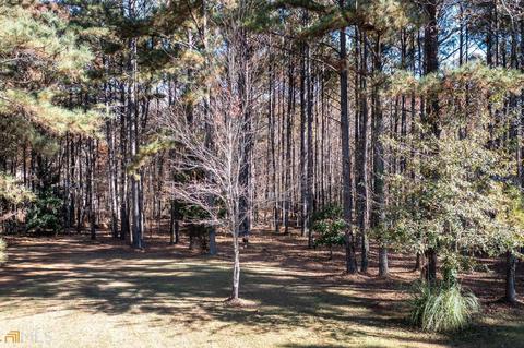 255 Red Maple Dr, Hampton, GA 30228 photo 63