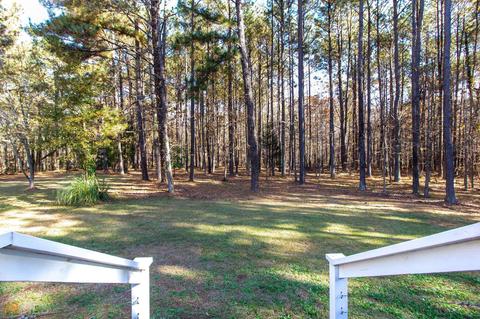 255 Red Maple Dr, Hampton, GA 30228 photo 34