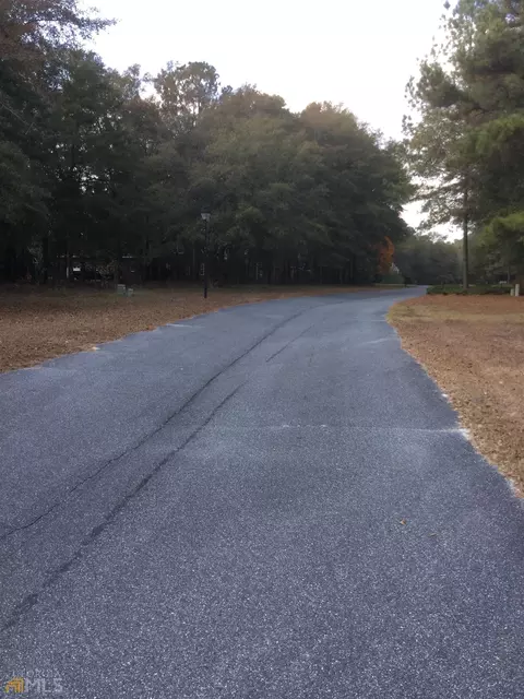 117 Breckenridge Dr, Springfield, GA 31329 photo 3