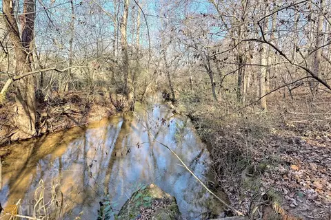 135 Maize Mill Path, Clarkesville, GA 30523 photo 71