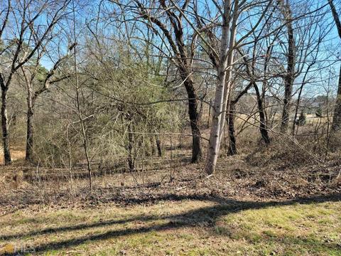 179 Timber Ridge Dr, Toccoa, GA 30577 photo 1