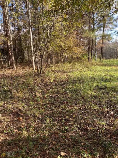 23 Willow Dr, Sparta, GA 31087 photo 4
