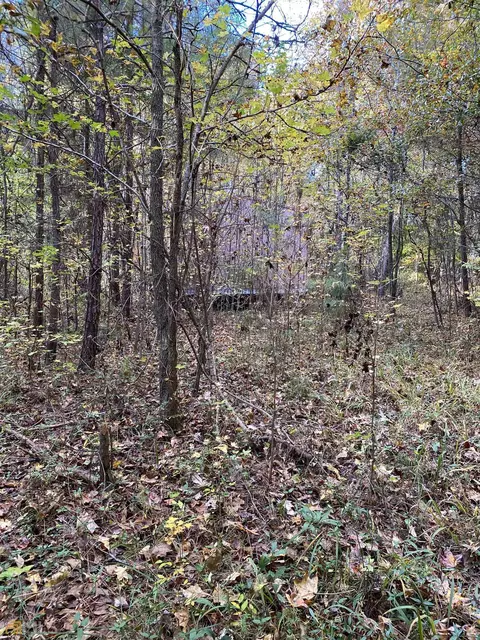 23 Willow Dr, Sparta, GA 31087 photo 7