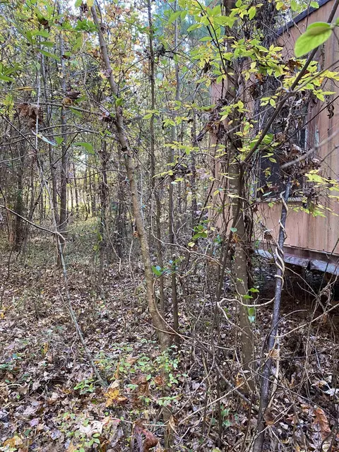 23 Willow Dr, Sparta, GA 31087 photo 5