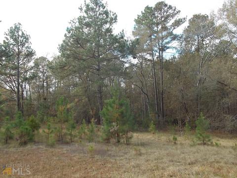 1279 Akins Anderson Rd, Register, GA 30452 photo 38