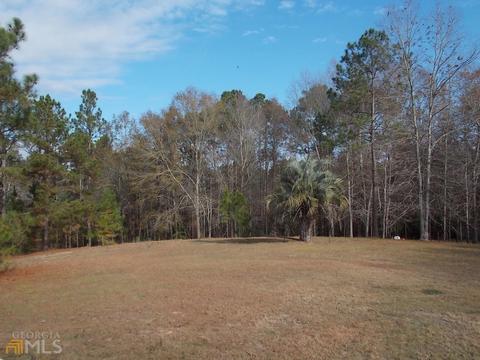 1279 Akins Anderson Rd, Register, GA 30452 photo 34