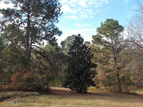 1279 Akins Anderson Rd, Register, GA 30452 photo 32