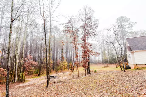 1046 Wa Rd, Williamson, GA 30292 photo 54
