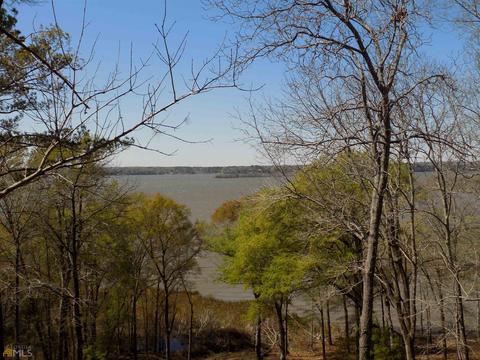 28 Davis Dr, Georgetown, GA 39854 photo 90