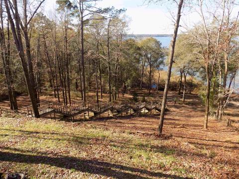 28 Davis Dr, Georgetown, GA 39854 photo 83