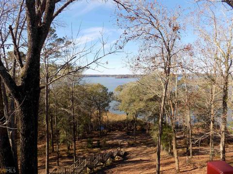 28 Davis Dr, Georgetown, GA 39854 photo 81