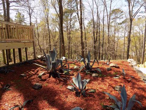 28 Davis Dr, Georgetown, GA 39854 photo 84