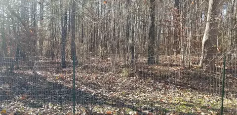 195 Biggers Rd, Buchanan, GA 30113 photo 7