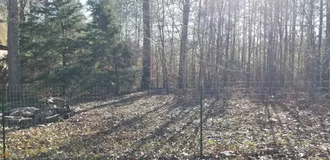195 Biggers Rd, Buchanan, GA 30113 photo 8