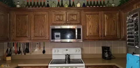 195 Biggers Rd, Buchanan, GA 30113 photo 13