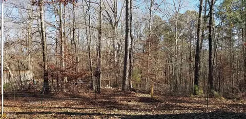 195 Biggers Rd, Buchanan, GA 30113 photo 41