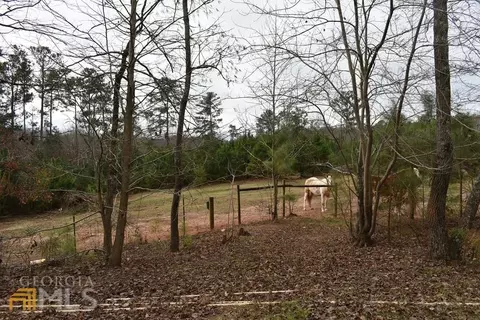 75 Smith Rd, Waco, GA 30182 photo 9