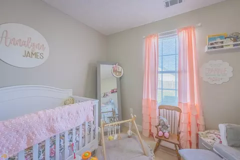2 Crest View Dr, Carnesville, GA 30521 photo 15
