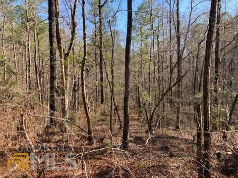 612 Antioch Rd, Lagrange, GA 30240 photo 5