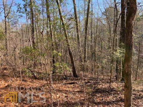 612 Antioch Rd, Lagrange, GA 30240 photo 4