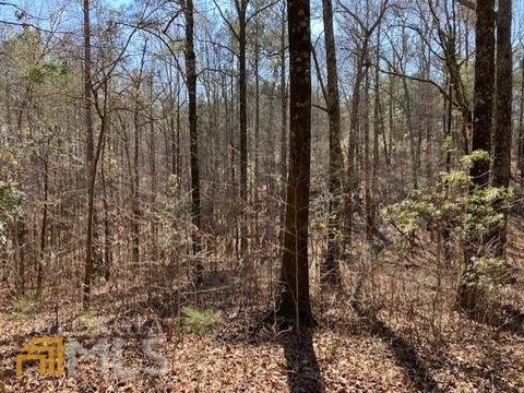 612 Antioch Rd, Lagrange, GA 30240 photo 3