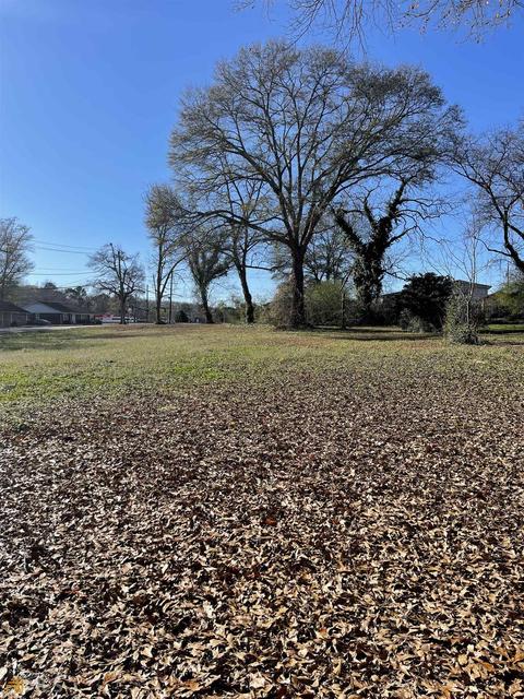 1650 Old Rex Morrow Rd, Morrow, GA 30260 photo 13