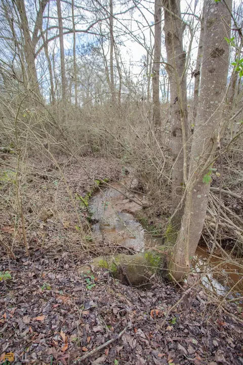 1203 County 49 Rd, Ranburne, AL 36273 photo 37
