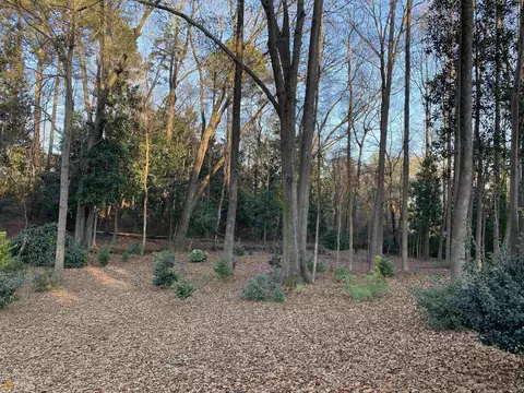871 E Doyle St, Toccoa, GA 30577 photo 13