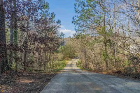 60 Darvin Ct, Covington, GA 30016 photo 61