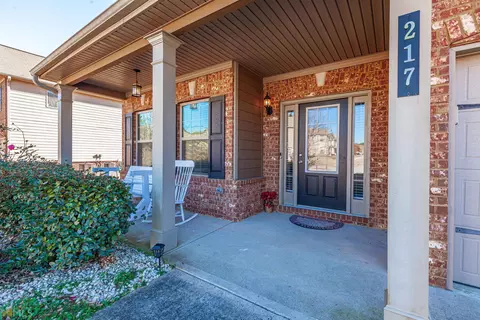 217 Christopher Michael Ln, Hampton, GA 30228 photo 3