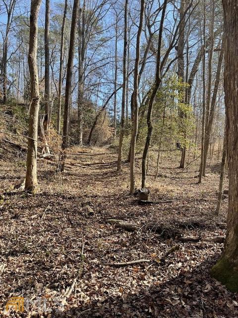 170 Camp Mikell Rd, Toccoa, GA 30577 photo 30