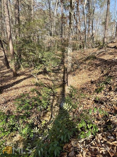 170 Camp Mikell Rd, Toccoa, GA 30577 photo 35