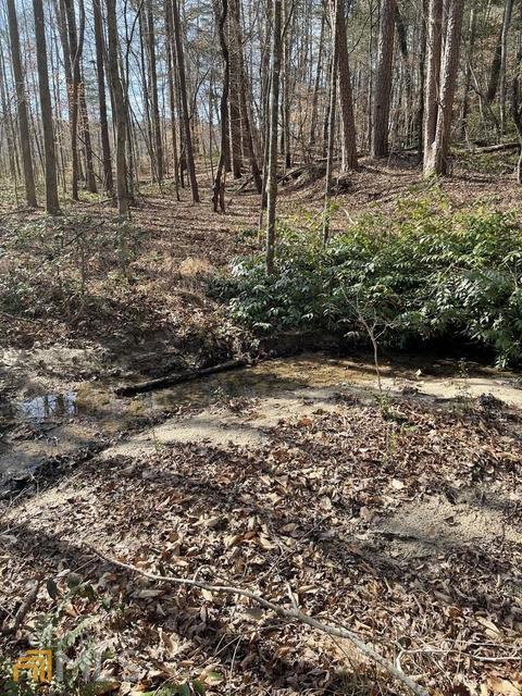 170 Camp Mikell Rd, Toccoa, GA 30577 photo 2