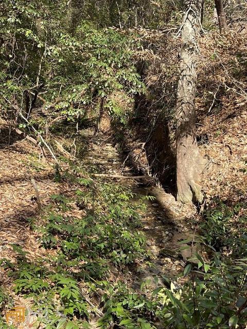 170 Camp Mikell Rd, Toccoa, GA 30577 photo 34