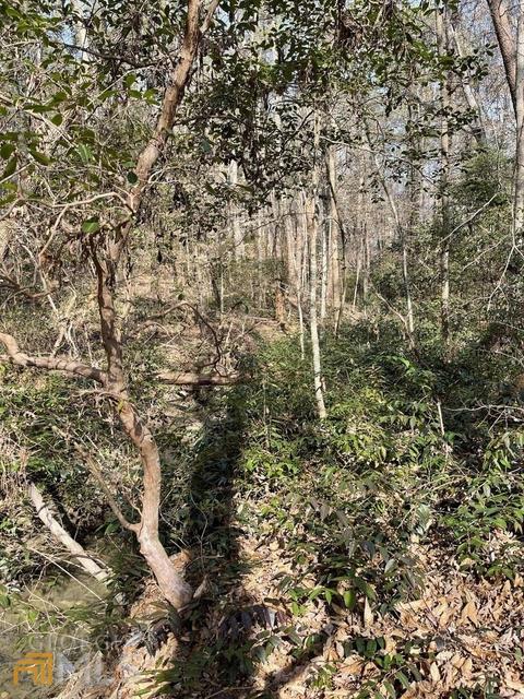 170 Camp Mikell Rd, Toccoa, GA 30577 photo 38