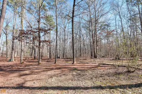 186 Cross Creek Way, Hampton, GA 30228 photo 61