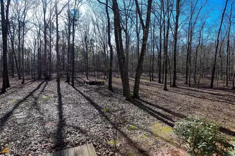 186 Cross Creek Way, Hampton, GA 30228 photo 56