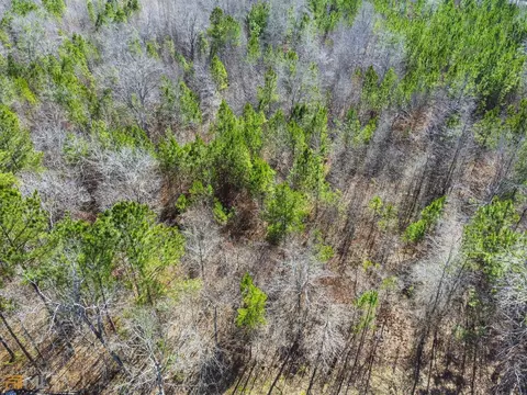 330 County Road 65, Fruithurst, AL 36262 photo 48