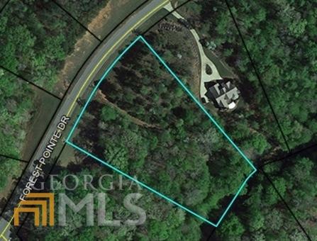 505 Forest Pointe Dr, Forsyth, GA 31029 photo 2